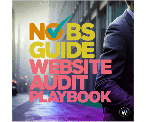 NO BS Guide Website Audit Playbook